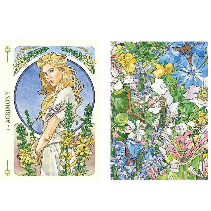 Bộ bài Flowers Oracle C3