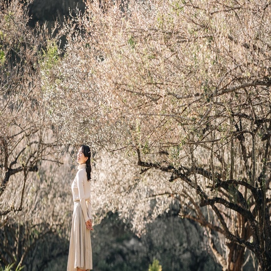 [EVoucher Vietravel] Hà Nội - Xuân Sơn - Bắc Yên - Sống lưng khủng long Tà Xùa - Mộc Châu