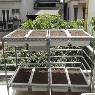 Kệ Sắt V Lỗ Trồng Rau chứa 8 khay (chưa có khay nhựa)