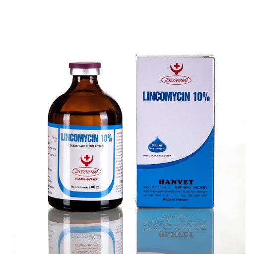LINCOMYCIN 10%  - chỉ dùng trong thú y