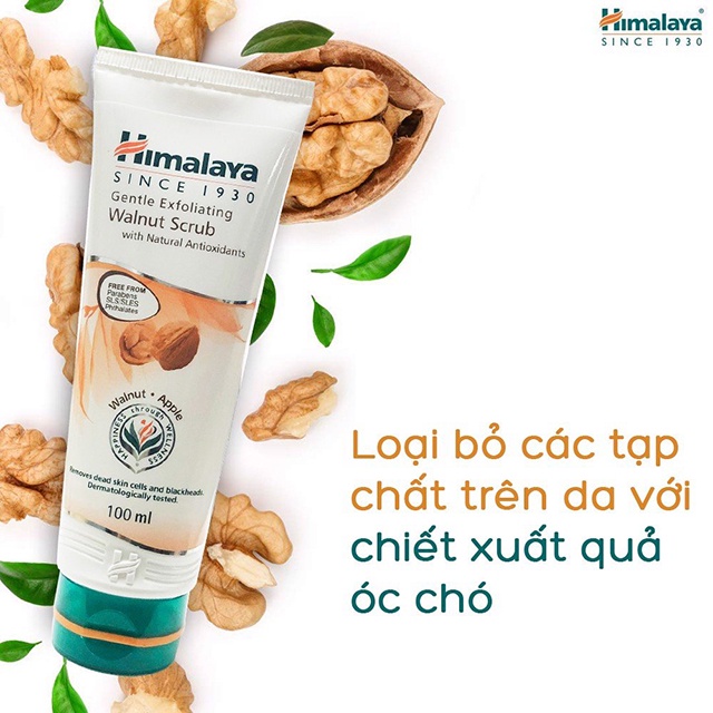 Tẩy Tế Bào Chết Mịn Da Và Trẻ Hóa Da Từ Hạt Óc Chó | Himalaya Herbals Gentle Exfoliating Walnut Scrub 100g