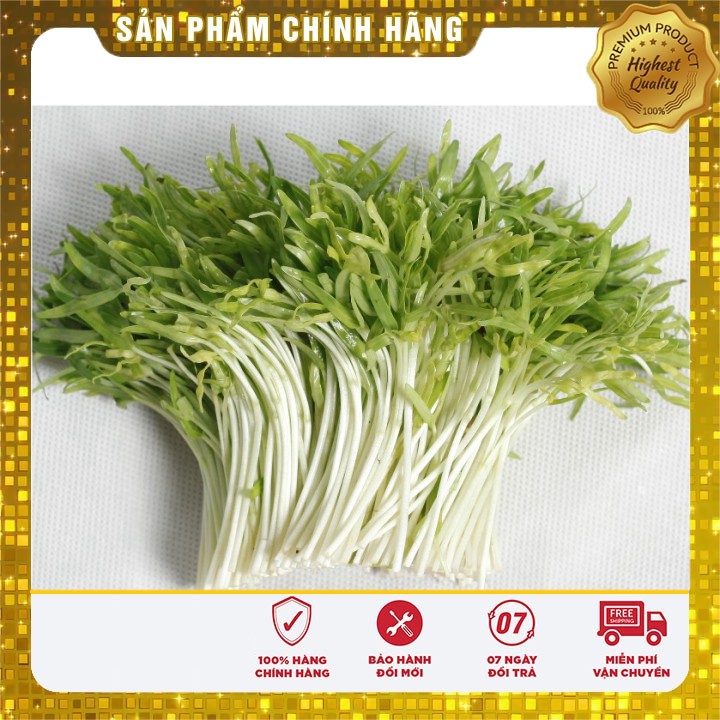 Hạt Giống Mầm Rau Muống ( 50 gram )