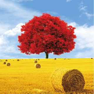 Tranh Đính Đá Phong Cảnh