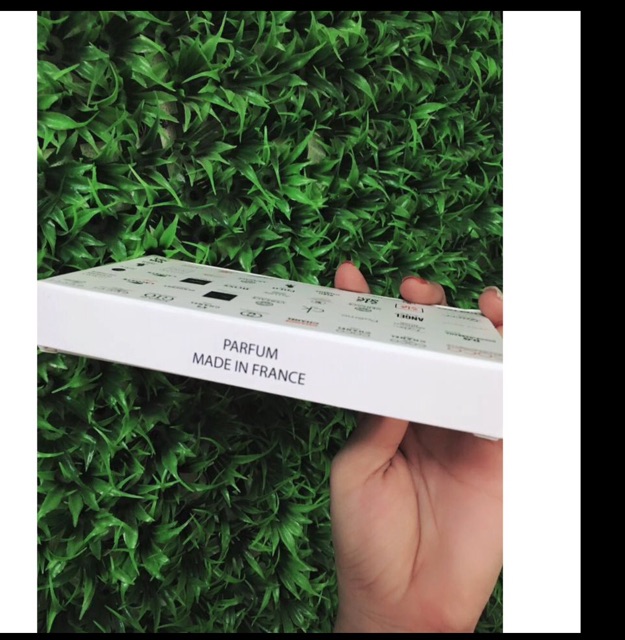 (Đơn sỉ cho khách) Combo tinh dầu Dubai | BigBuy360 - bigbuy360.vn