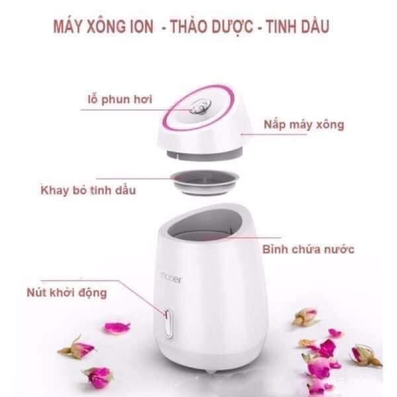 MÁY XÔNG MẶT, MÁY XÔNG MẶT TINH DẦU, MÁY XÔNG MẶT TRÁI CÂY