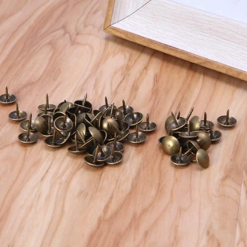Bộ 100 Đinh Ghim Bằng Kim Loại Dùng Trang Trí Nội Thất DIY