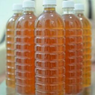Mật ong rừng Cao su Tây Nguyên