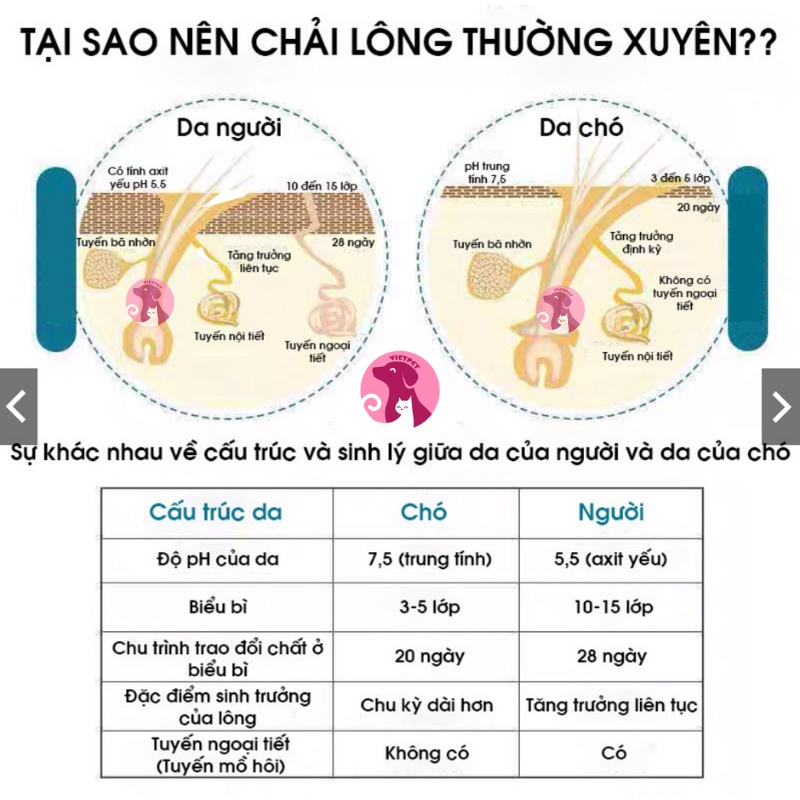 Lược chải lông thông minh cho chó mèo (Có nút bấm đẩy lông) (Loại đẹp &amp; xịn) (Hình bàn chân thú cưng)