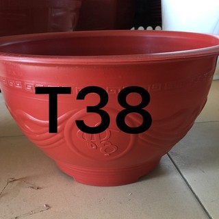 10 chậu nhựa t38 kích thước 36x19 cm