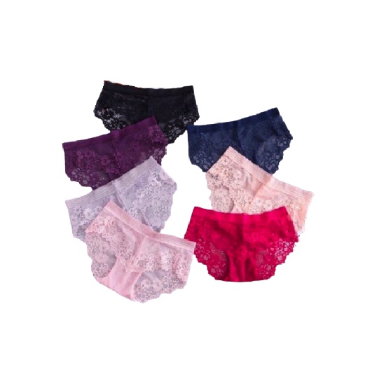 Quần lót ren - Quần llót nữ lưới sexy gợi cảm cao cấp hàng VNXK No.100382