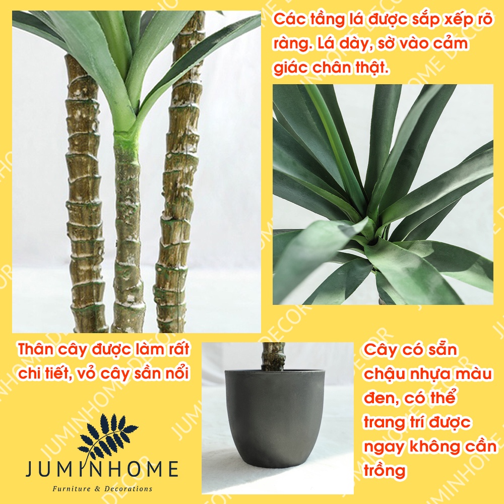 Cây giả, thiết mộc lan giả, phát tài núi - Cây giả decor trang trí nhà cửa nội thất phòng khách phòng ngủ