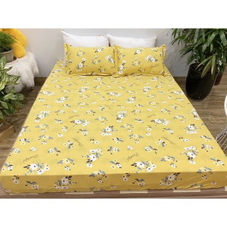 Ga trải giường,Drap ga giường,kho hcm,free ship giao ngay trong ngày,totobed G-509