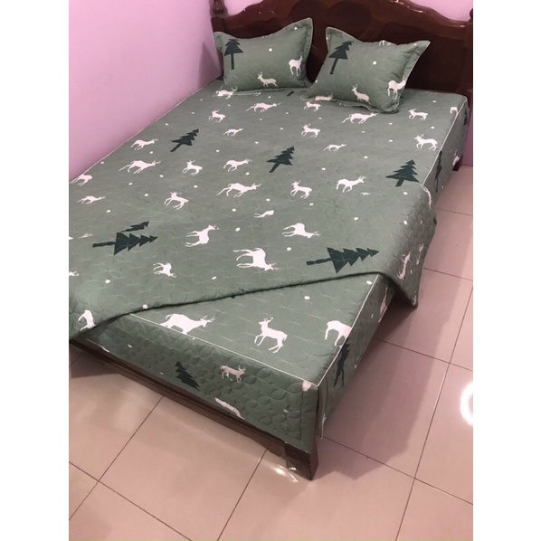 VỎ CHĂN COTTONG POLY TRẦN BÔNG CÓ KHOÁ KÉO LỒNG ĐƯỢC RUỘT
