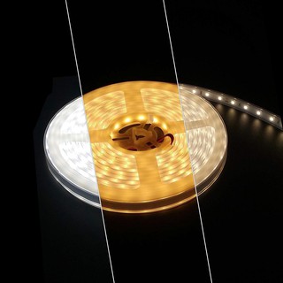 Đèn led dây paragon led5050 – 14.4w - ánh sáng vàng/ trung tính/ trắng. hàng chính hãng – hibuddy