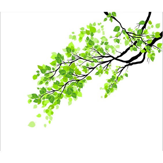 Decal trang trí kính cao cấp mẫu nhánh cây xanh 01 (60cm x 58cm)