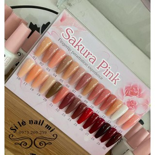 Sơn gel bobo 30 màu từ 21-30