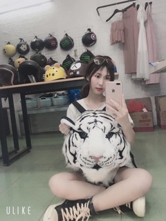 Balo đầu hổ size to nhất