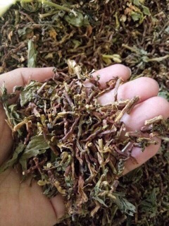 Trà Sơn mật Hồng sâm