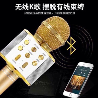 Mic hát karaoke ws 858