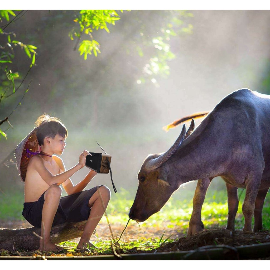 Loa Bluetooth SoundMax AS-6 10W -Hàng chính hãng Bảo Hành 1 Năm