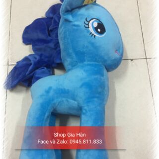 Ngựa pony 50cm