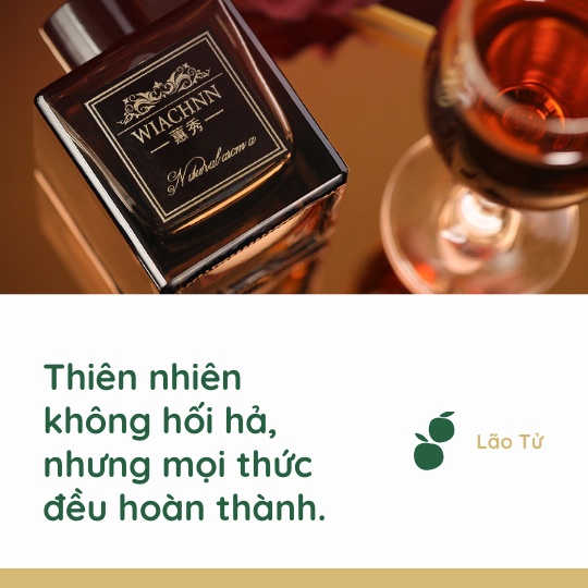 Tinh Dầu Thơm Phòng Lọ Khuếch Tán Nước Hoa WIACHNN 50ML Thơm Để Phòng Ngủ Sang Trọng KT32