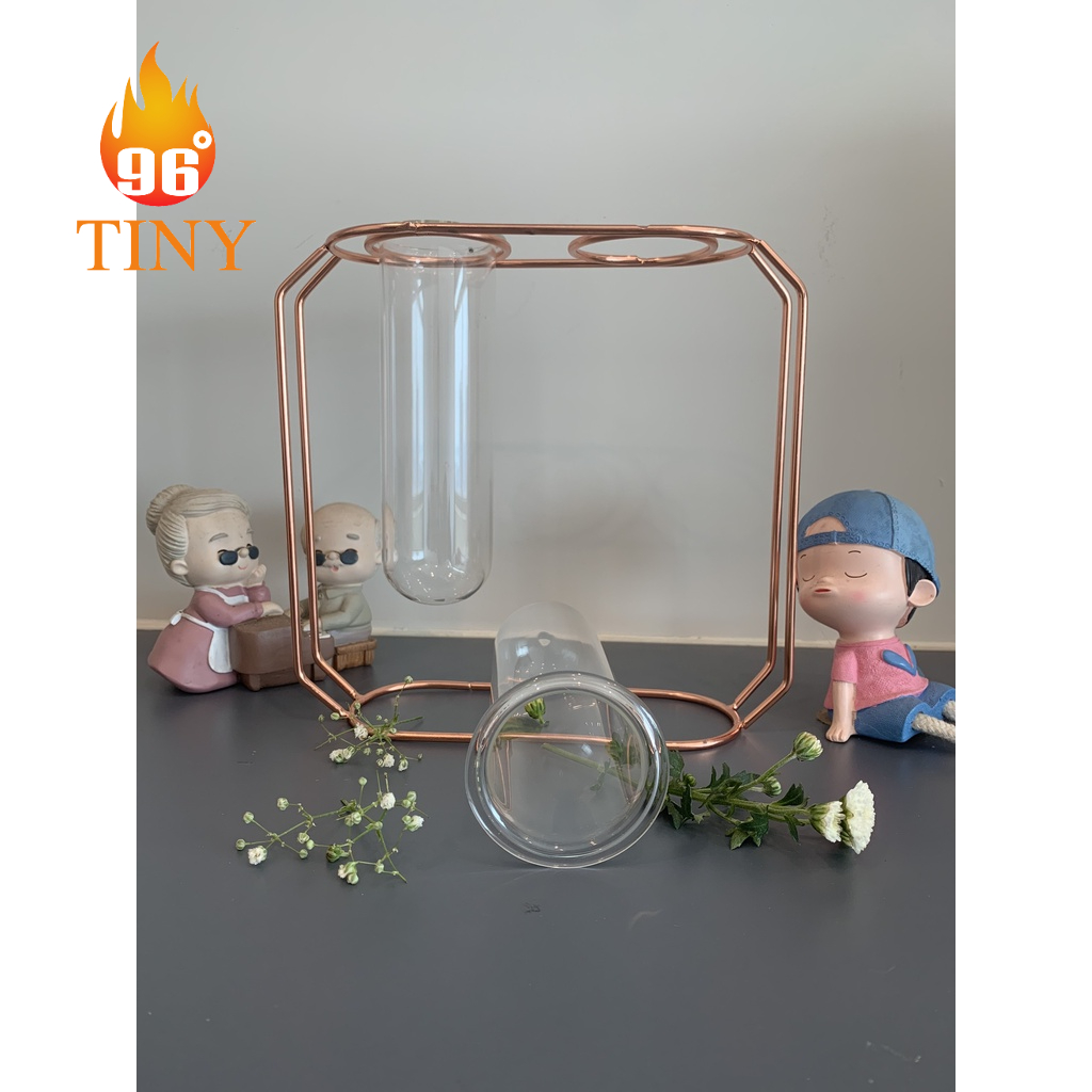 Lọ hoa thủy tinh trang trí để bàn, cắm hoa, trồng cây thủy sinh, sáng tạo không gian xanh, phong cách sang trọng