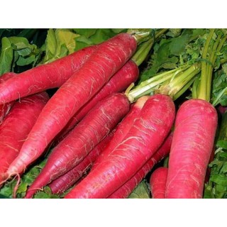 HẠT GIỐNG CÀ RỐT HỒNG THÁI LAN 20 hạt