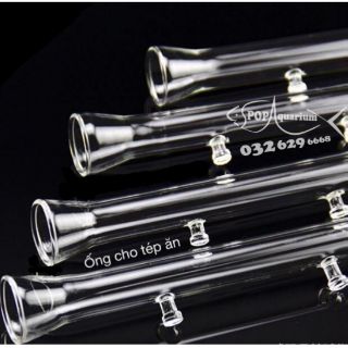 Ống  thủy tinh cao cấp cho tép ăn