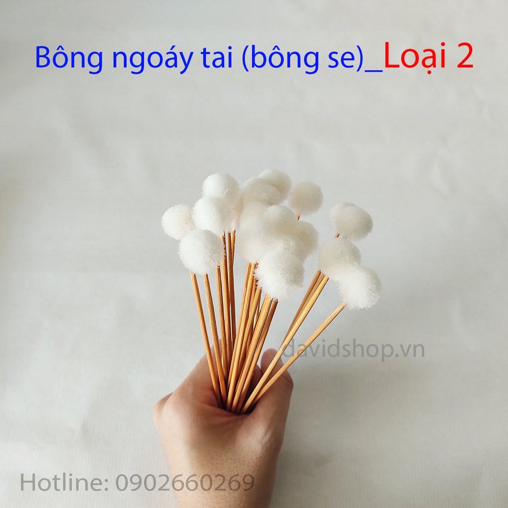 Bông ngoáy tai lông se bộ 5 cây, 20 cây dụng cụ lấy ráy tai loại 1, loại 2, loại 3