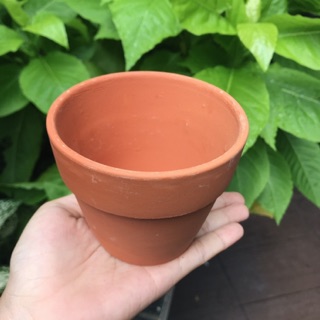Chậu đất nung size 9,5cm x 8cm