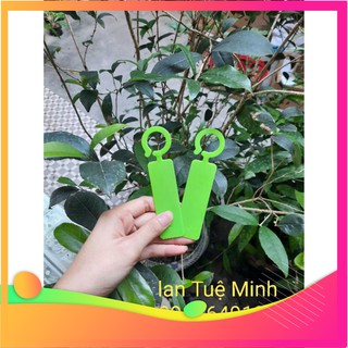 Combo 100 thẻ nhựa cứng có móc ghi tên cây tiện lợi màu xanh lá (Loại 1)