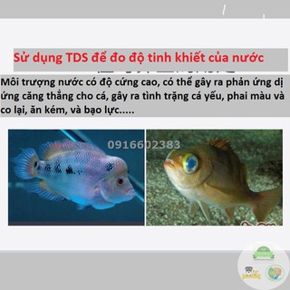 BÚT THỬ NƯỚC SẠCH TDS 3 - BÚT THỬ