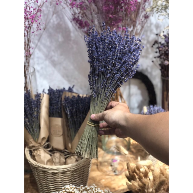 Hoa lavender khô, oải hương khô nhập Pháp