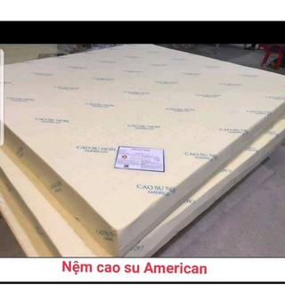 Nệm cao su American đủ kích thước 10cm,15cm,20cm