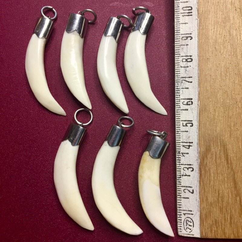 RĂNG NANH LÀM MẶT DÂY CHUYỀN