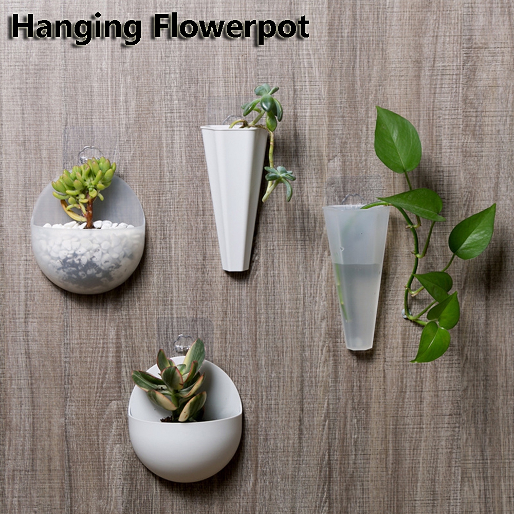 Chậu Hoa Nhựa Trong Suốt / Trắng Treo Tường Tiện Lợi