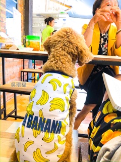 🍌🍌 T02 - ÁO TRÁI CHUỐI MÀU VÀNG 🍌🍌