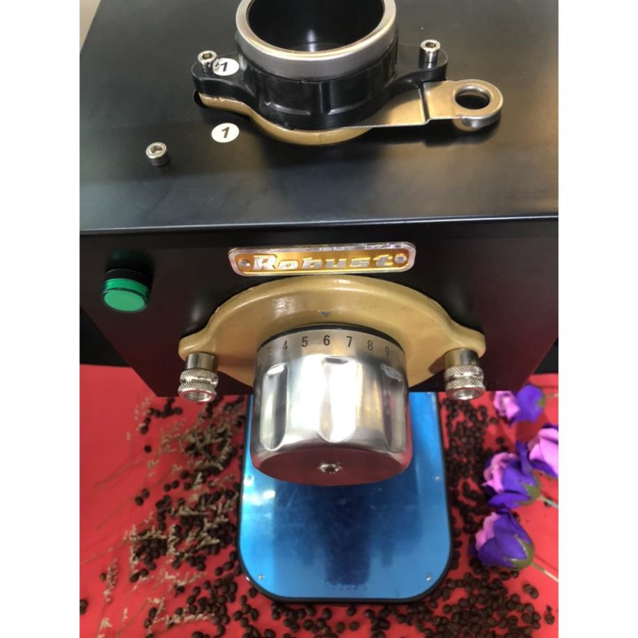 Máy xay cà phê Robust  - Hàng chính hãng