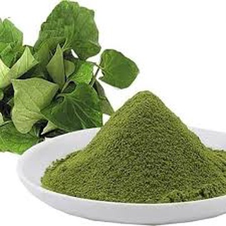 Bột Diếp Cá sấy lạnh 100% Organic