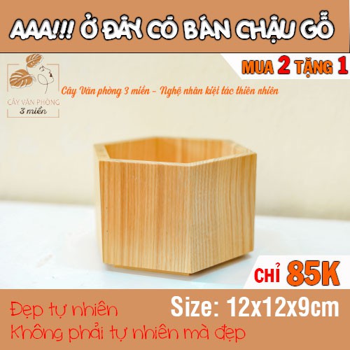 [MUA 2 TẶNG 1] Chậu Gỗ Lục Giác Gỗ tự nhiên 100%