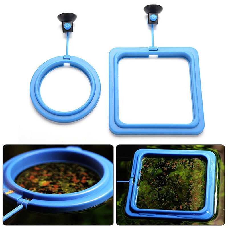 COLO  Aquarium Fish Tank Square/Circle Ring Feeder Feeding Station Float Floating Food