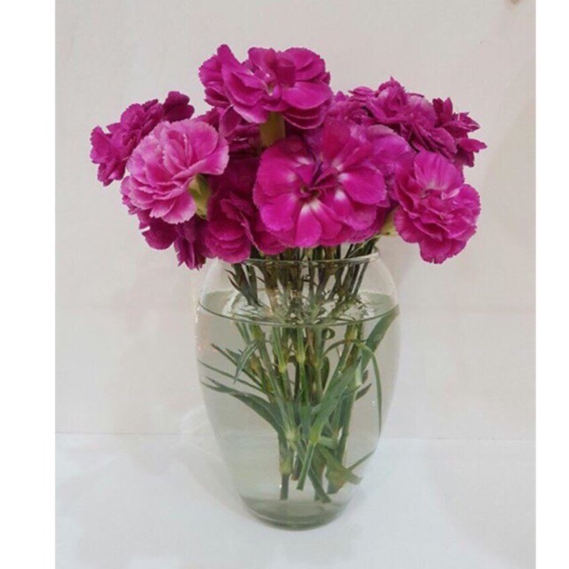 “Bình thủy tinh cắm hoa, trồng cây”-Zalo 0918632015