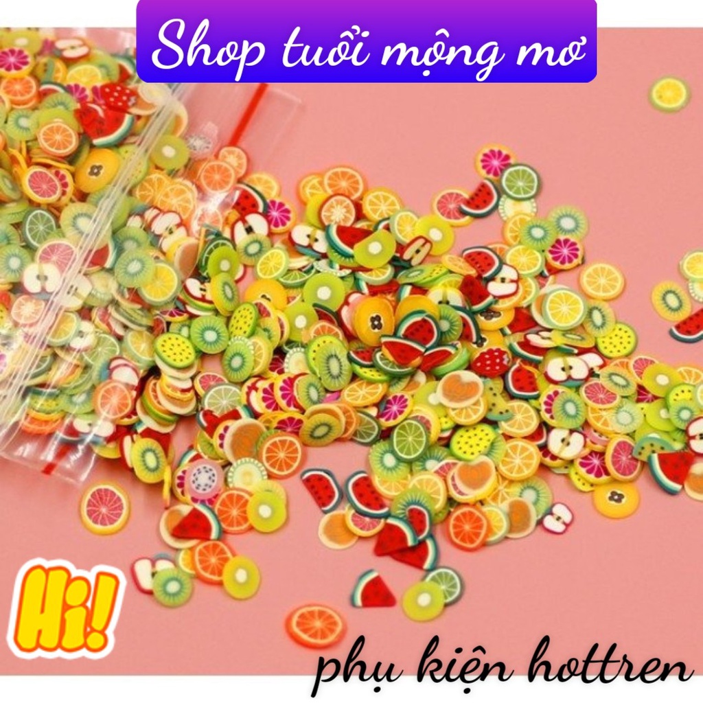 Trái cây cắt lát mỏng- Nail lát trái cây trang trí dán móng, chơi slime- Túi 20g lát trái cây