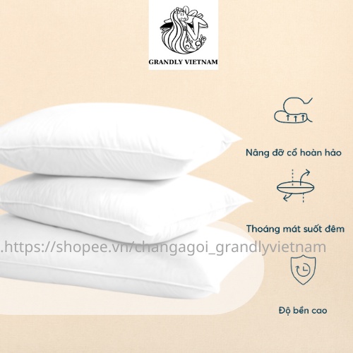 Ruột gối nằm - ruột gối đầu cao cấp chính hãng Grandly Vietnam siêu êm ái giúp nâng đỡ bảo vệ cột sống cổ
