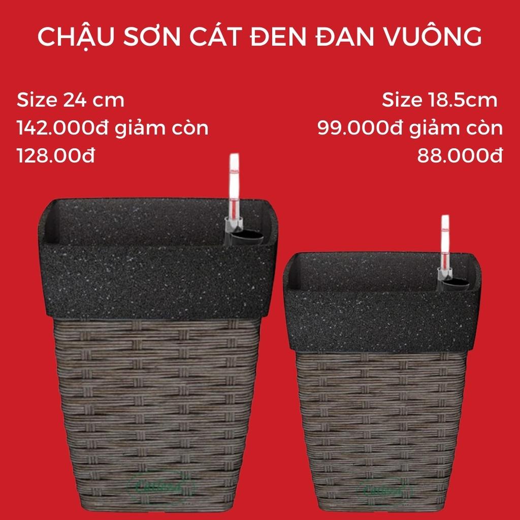 Chậu trồng cây cát đen đan vuông Catleza size 18.5cm, 24cm có ống đo mực nước, có 3 mẫu lựa chọn