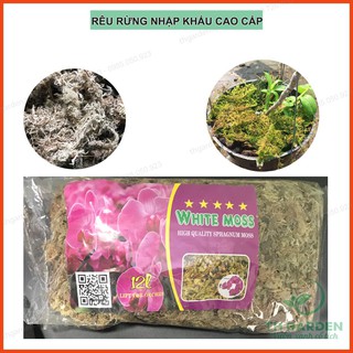 Rêu Rừng Trồng Lan Đã Qua Xử Lý - Rêu Rừng Trắng ( Dớn Trắng) Nhập Khẩu Cao Cấp Trồng Lan
