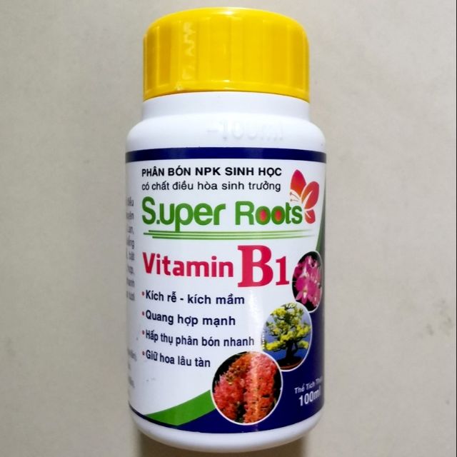 Super Root B1 - Kích Rễ Kích Mầm và Dưỡng Hoa Lâu Tàn Lọ 100ml