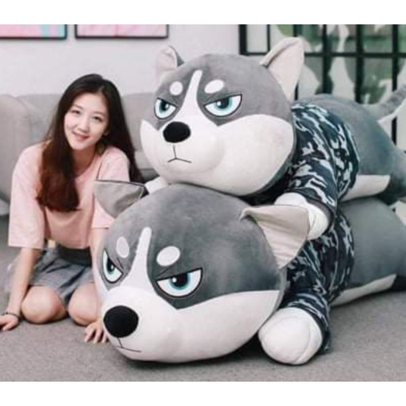Chuẩn 1m5(có video) Gấu Bông Husky 1m5 Siêu To Khổng Lồ Hàng Tại Xưởng đảm bảo rẻ hơn thị trường