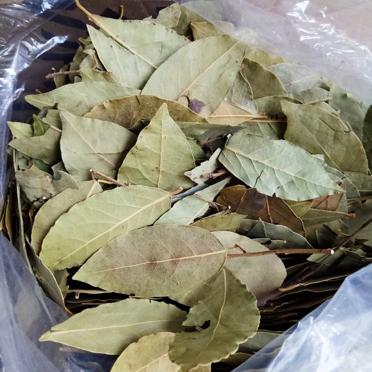 1Kg Lá nguyệt quế khô - Lá thơm - Lá Bay leaf tạo mùi vị thơm ngon đặc trưng cho món ăn